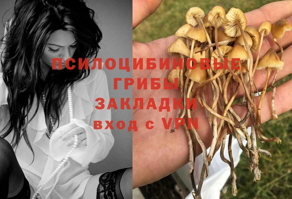 первитин Покачи
